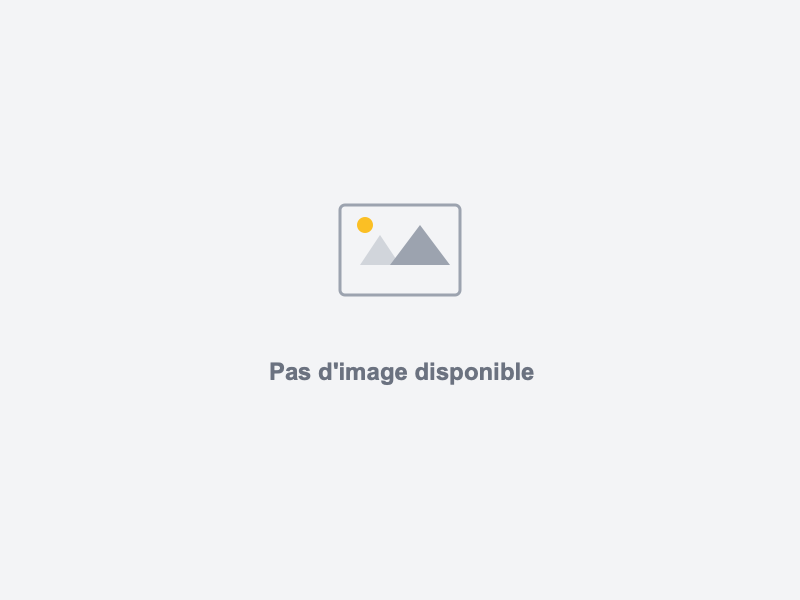 Location conteneur 20"